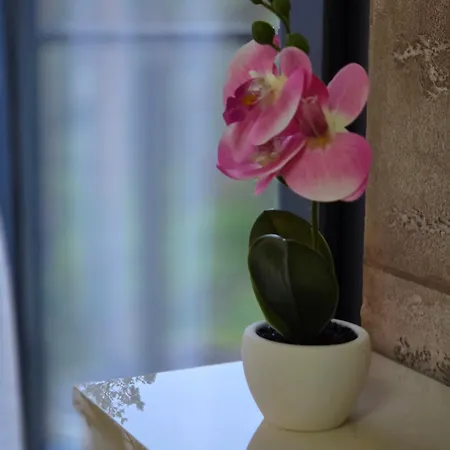 Apartamento Hill Isidorovic Ll Divčibare