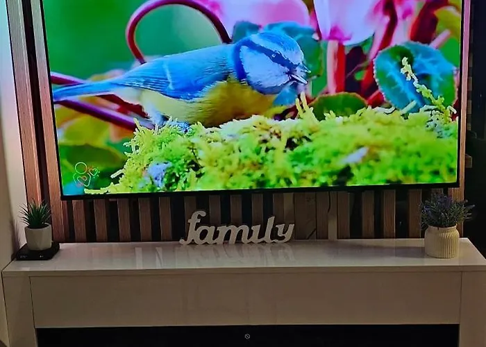 Hill Isidorovic Ll *