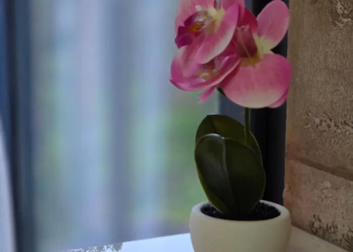 Appartement Hill Isidorovic Ll Divčibare